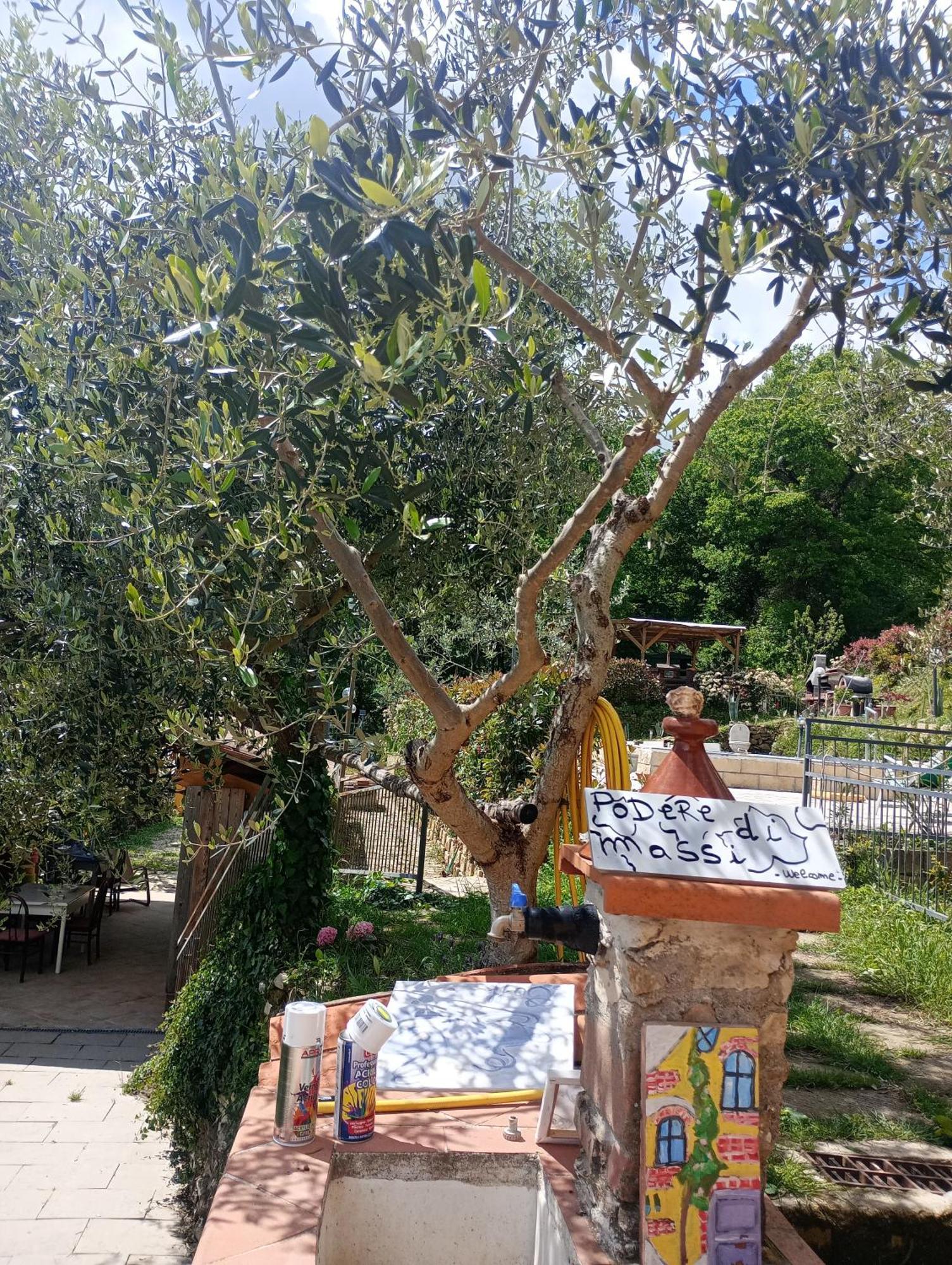 Casetta Nel Podere Di Massi Barberino di Mugello Exterior foto